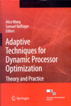 NewAge Adaptive Techniques for Dynamic Processor Optimization: Theory and Practice